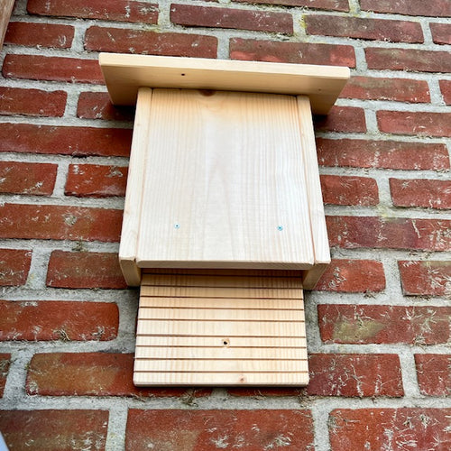 Fledermauskasten