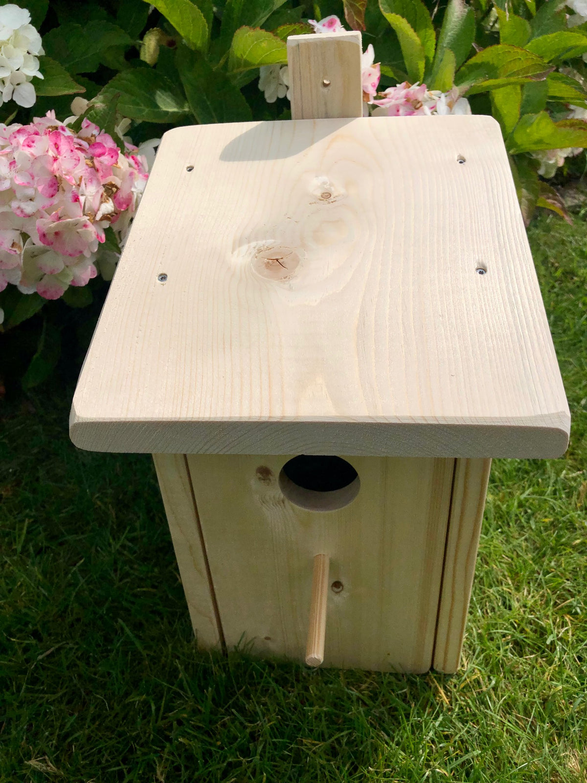 Starenkasten – Produktbild 16