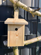 Meisenkasten – Produktbild 31