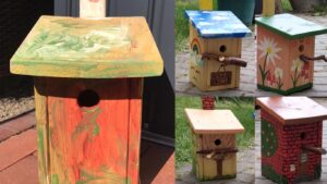 Vogelhaus bemalen als kreative Idee für Nistkästen und Halbhöhlen