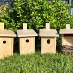 Halbhöhle für Rotkehlchen Vogelhaus Nistkasten hast-ne-meise.de 08